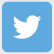 The Twitter logo
