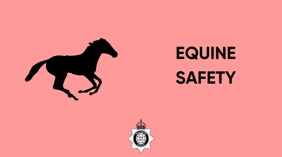 Equine Safety