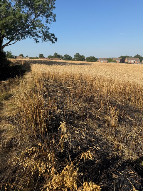 Damage to crops