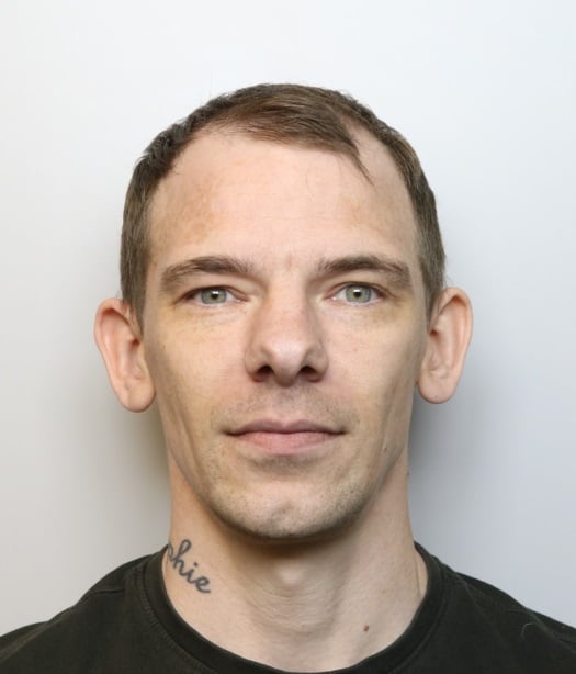 Daniel Robertson